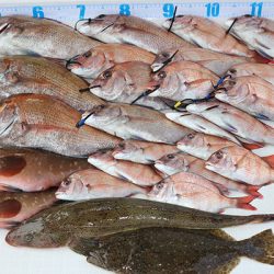 松本釣船２ 釣果