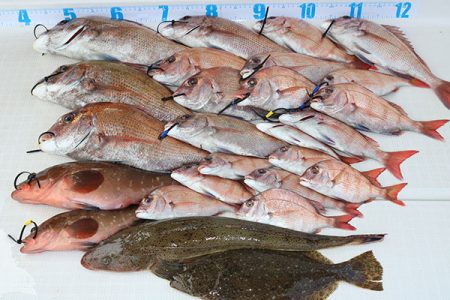 松本釣船２ 釣果