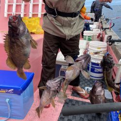 第八平成丸 釣果