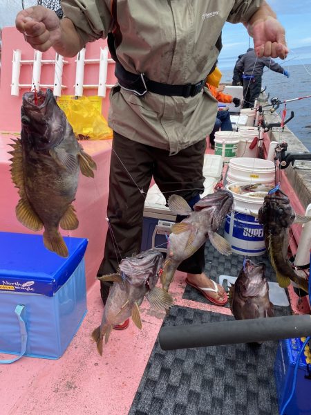 第八平成丸 釣果