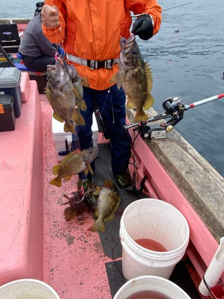 第八平成丸 釣果