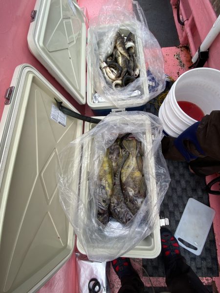 第八平成丸 釣果