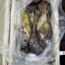 第八平成丸 釣果