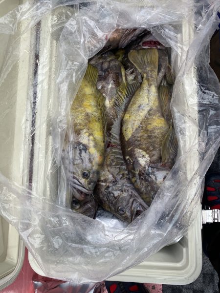 第八平成丸 釣果