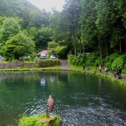 小菅トラウトガーデン 釣果