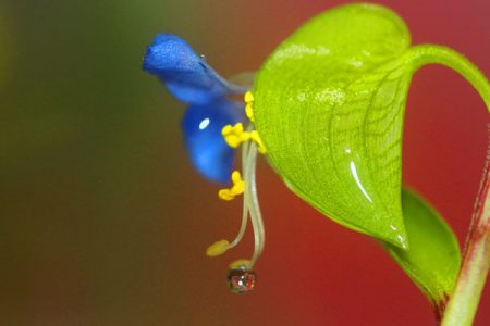 小菅トラウトガーデン 釣果