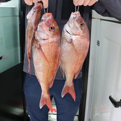 松本釣船２ 釣果