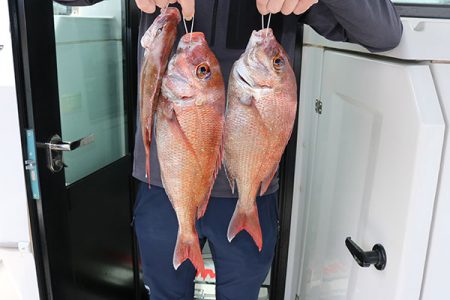 松本釣船２ 釣果