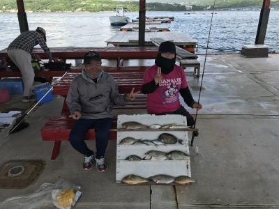 本部釣りイカダ 釣果