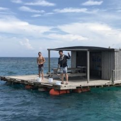 本部釣りイカダ 釣果