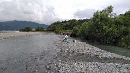 大井川（大井川(非)漁業協同組合） 釣果