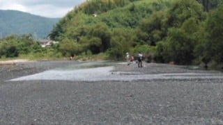 大井川(大井川(非)漁業協同組合) 釣果