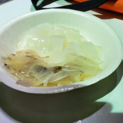 珀宝丸 釣果