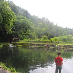 小菅トラウトガーデン 釣果