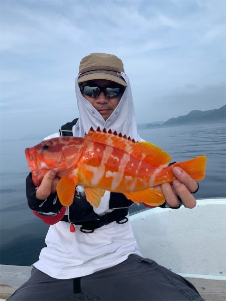 マタウマリンサービス 釣果