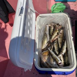 第八平成丸 釣果