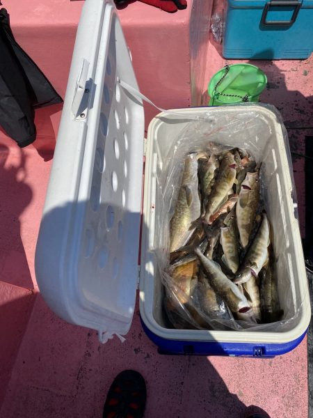 第八平成丸 釣果