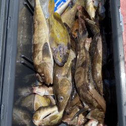 第八平成丸 釣果