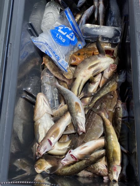 第八平成丸 釣果