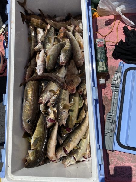 第八平成丸 釣果