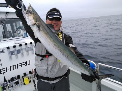 翔英丸 釣果