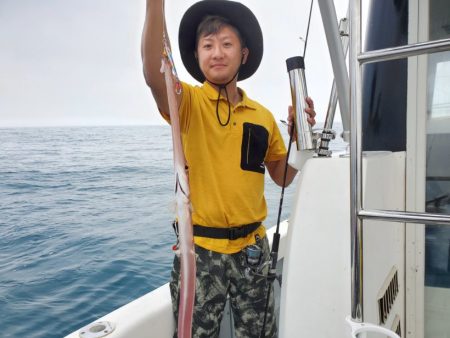 ブルーピア 釣果