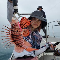 ブルーピア 釣果