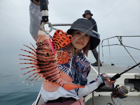 ブルーピア 釣果