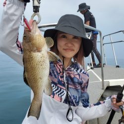 ブルーピア 釣果