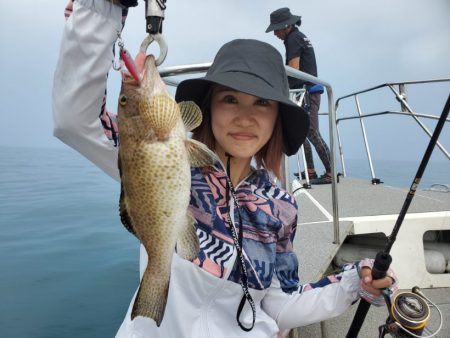 ブルーピア 釣果