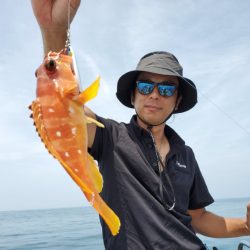 ブルーピア 釣果