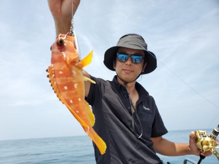 ブルーピア 釣果