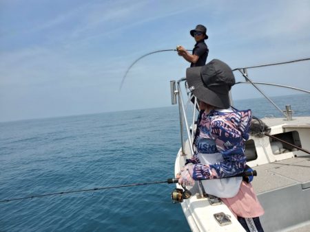 ブルーピア 釣果