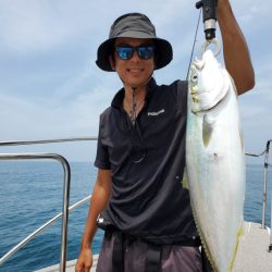 ブルーピア 釣果