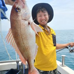 ブルーピア 釣果