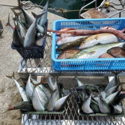 ブルーピア 釣果