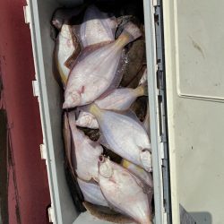 第八平成丸 釣果