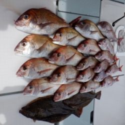 遊漁船 幸友丸 釣果