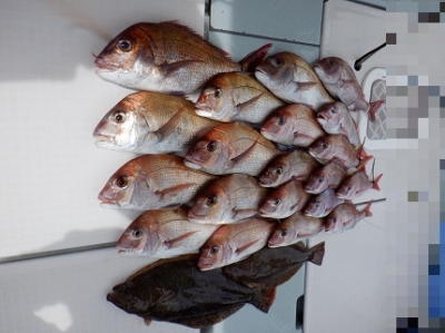 遊漁船 幸友丸 釣果