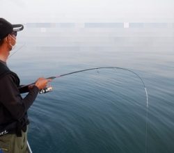 遊漁船 幸友丸 釣果