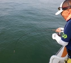 遊漁船 幸友丸 釣果