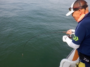 遊漁船 幸友丸 釣果