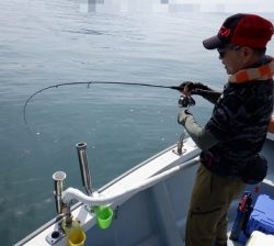 遊漁船 幸友丸 釣果