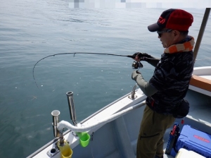 遊漁船 幸友丸 釣果