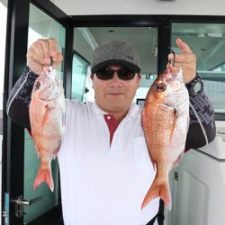 松本釣船２ 釣果