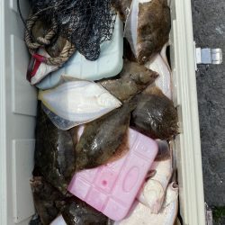 第八平成丸 釣果