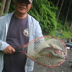 小菅トラウトガーデン 釣果