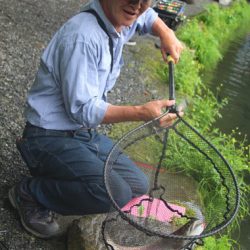 小菅トラウトガーデン 釣果