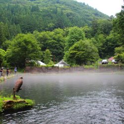 小菅トラウトガーデン 釣果