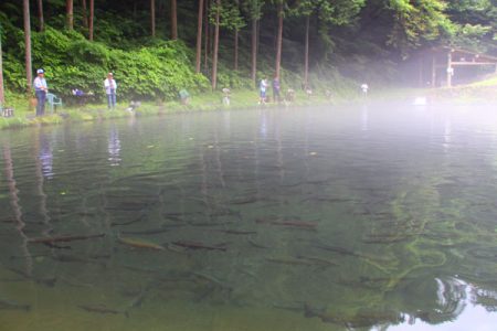 小菅トラウトガーデン 釣果
